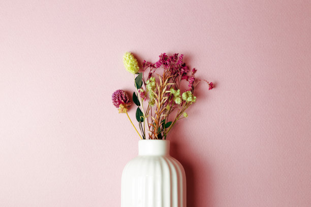 花瓶的干花在粉红色的背景上。家居装饰室内图片下载
