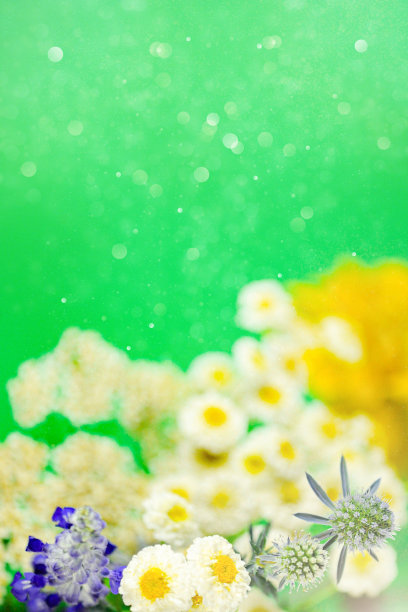 花的故事图片下载