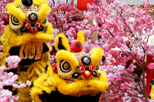 杂技舞狮表演图片下载