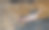 新鲜生鱼图片下载