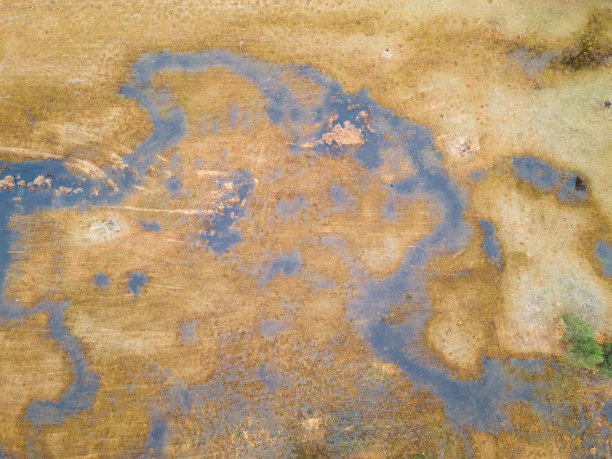 鸟瞰图淹没平原乡村景观和河流从无人机抽象的背景和纹理。无人机拍摄的照片。图片下载