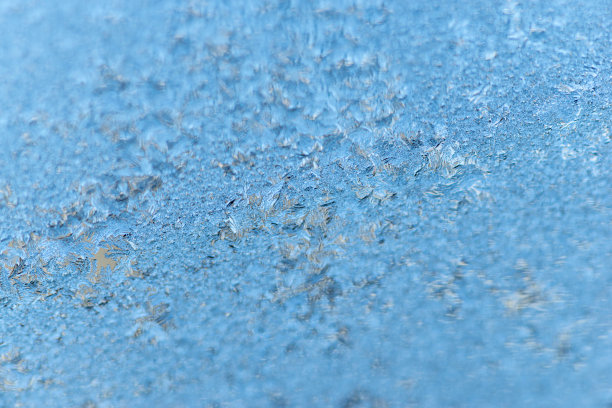 他们冻结图片下载