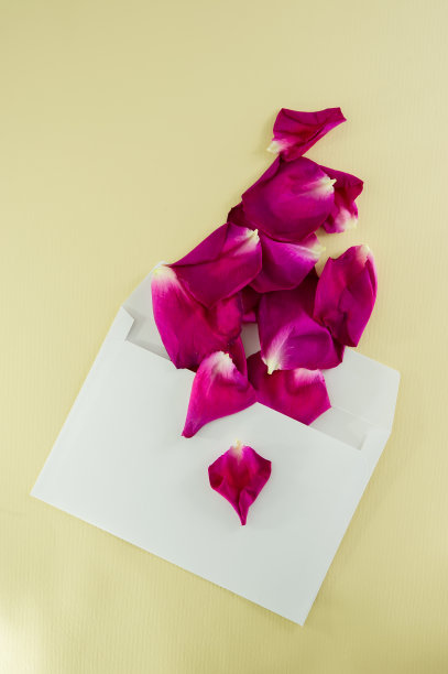 白色信封上的玫瑰花瓣。图片下载