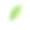 水彩菠菜孤立在白色背景上。草木手绘插图。新鲜的绿叶做沙拉。健康食品。图片下载