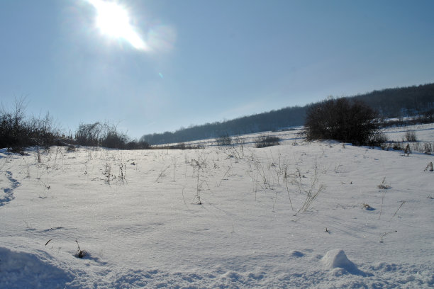 阳光照亮了白雪覆盖的草地。干植物的顶部伸出水面。路边有灌木，远处有山，天空湛蓝图片下载