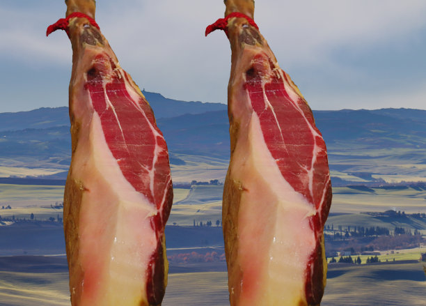 腊肉火腿托斯卡纳全景背景图片下载