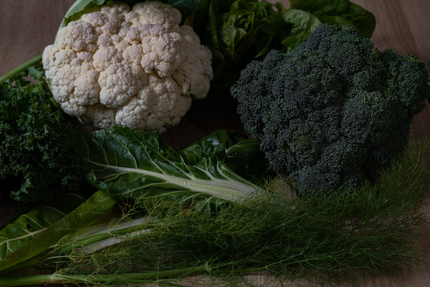一套蔬菜，花椰菜，花椰菜，甜菜和茴香图片下载