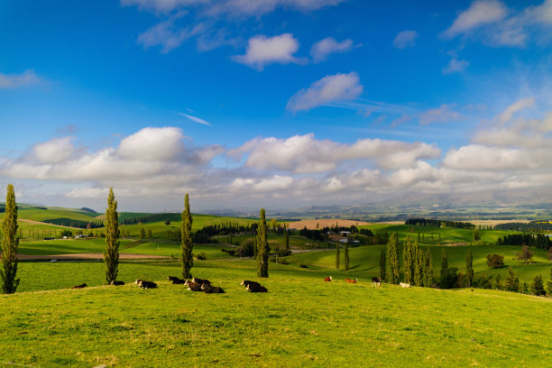 从阿兰代尔观赏美景，新西兰奥蒂亚罗亚，春天，一天图片下载