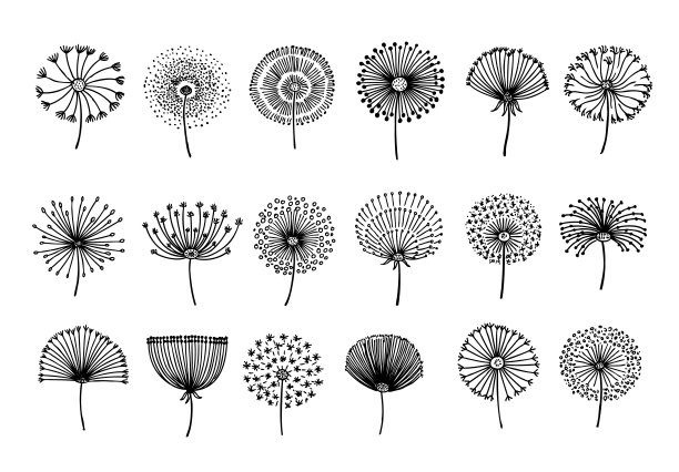 蒲公英。抽象图形蒲公英，涂鸦复古花籽。植物元素，手绘毛茸茸的植物图标。黑色的花剪影近代矢量图片下载