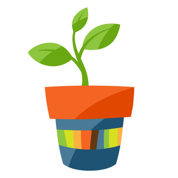 在室内盆栽或花园中发芽图片下载