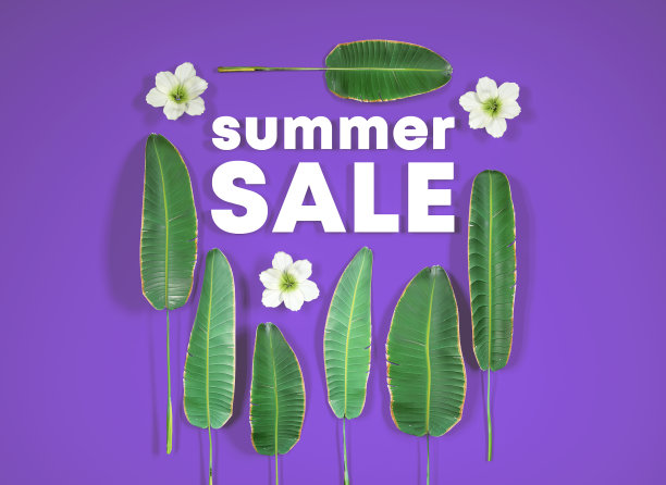 夏季促销，海报促销，促销传单，热带树叶和鲜花和字母，光栅图片图片下载