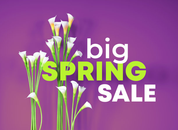 春季大甩卖，海报甩卖，促销传单，春天的鲜花和文字，光栅图片图片下载