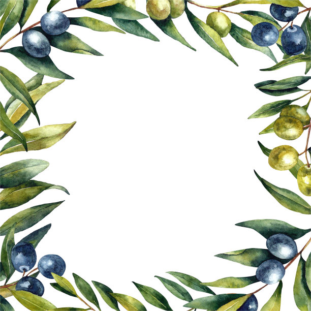 水彩橄榄早午餐和橄榄图片下载