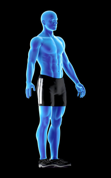 人体解剖的3D插图，一个人的mesomorph身体图片下载