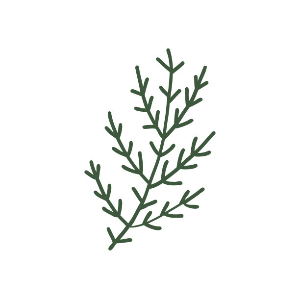 杉木枝坪图片下载