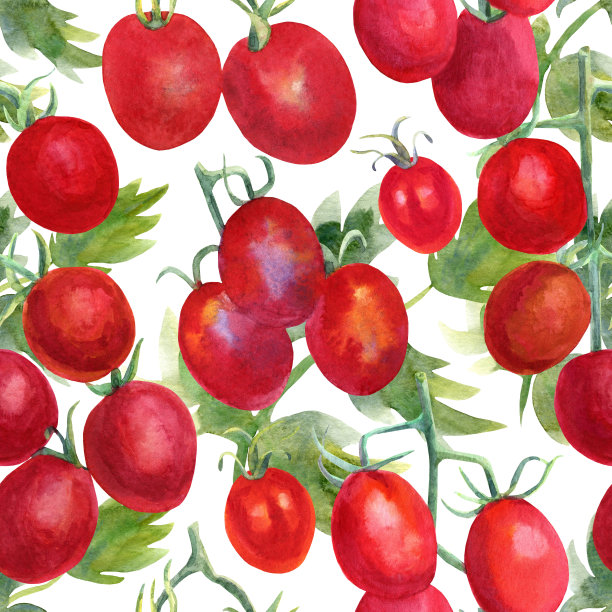 水彩模式西红柿图片下载