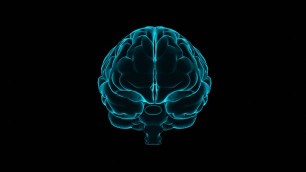 人类大脑全息图图片下载