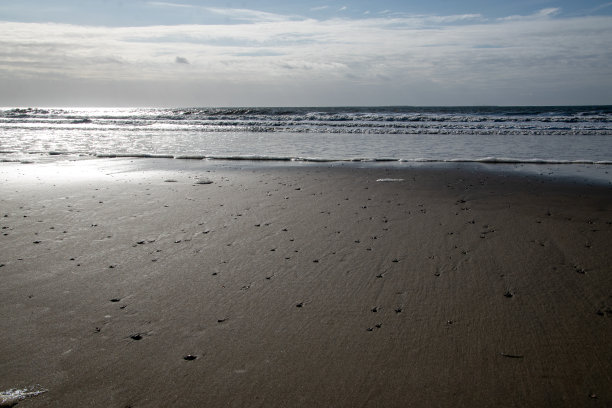 在北海博尔库姆岛的海滩上图片下载