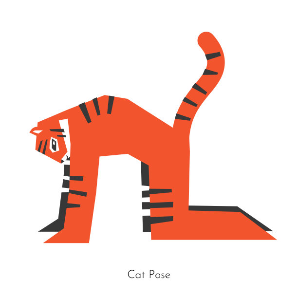 矢量平面孤立插图与灵活的字符学习核心瑜伽。亚洲虎做恢复性体位-猫式。健康宁静的锻炼——马jaryasana作为冥想和后屈的一种图片下载