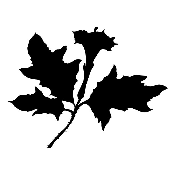 向量黑色剪影野生植物图片下载