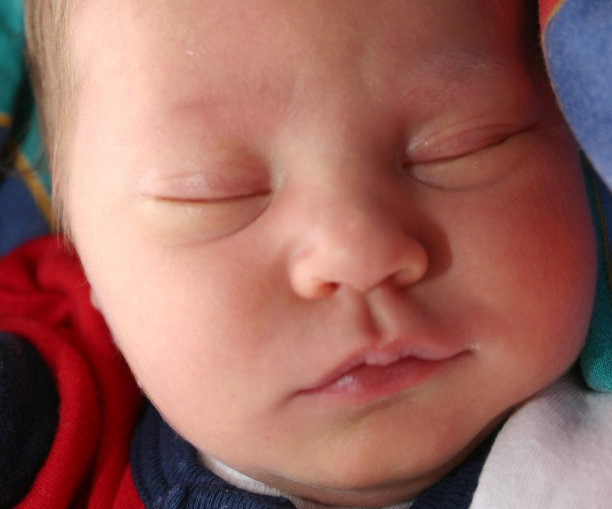 新生的婴儿图片下载