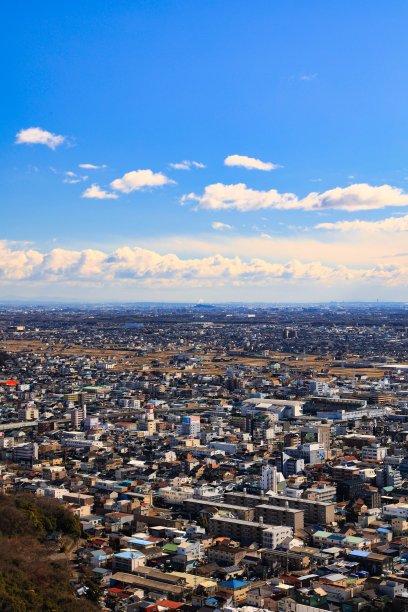 阳光明媚的一天，从岐阜县岐阜市的一座山上俯瞰的城市景观图片下载