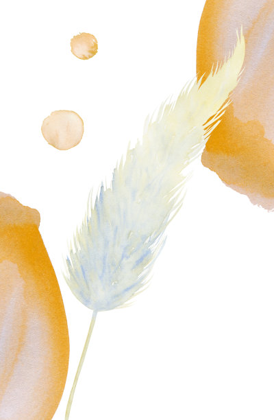 水彩手绘潘帕斯草插图米色抽象点。墙艺术。波希米亚风格的室内绘画。现代风格的植物图片。背景的邀请图片下载