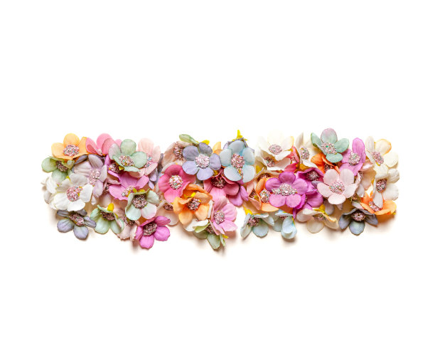 美丽的花朵在白色背景上孤立的负号。图片下载