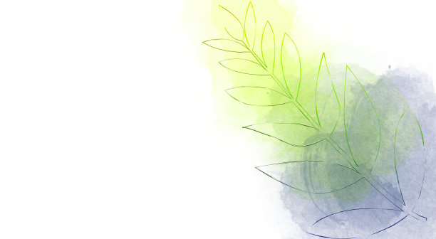 创造性的框架文本从叶子。抽象鲜艳多彩的水彩。纹理设计，照片覆盖，封面。白色背景。图片下载