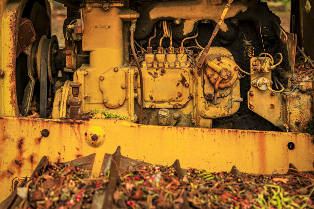 近距离拍摄一辆老式重型设备，用落叶和浆果踩着拖拉机图片下载