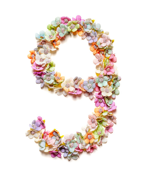 9号花由五颜六色的花组成，孤立在白色上。花的数量图片下载