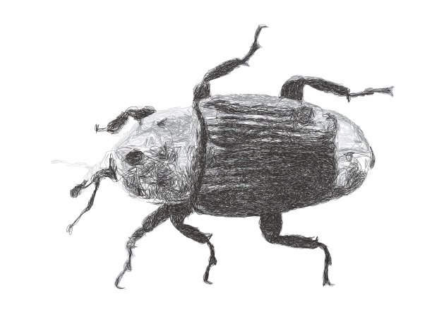 象鼻虫。画素描。矢量插图。孤立的白色背景。图片下载