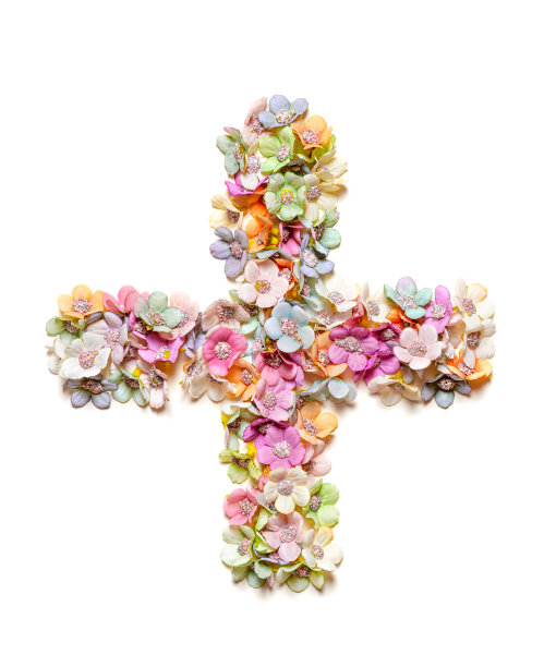 加上标志美丽的花孤立在白色的背景上。图片下载