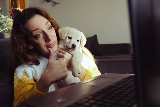 回家工作图片下载