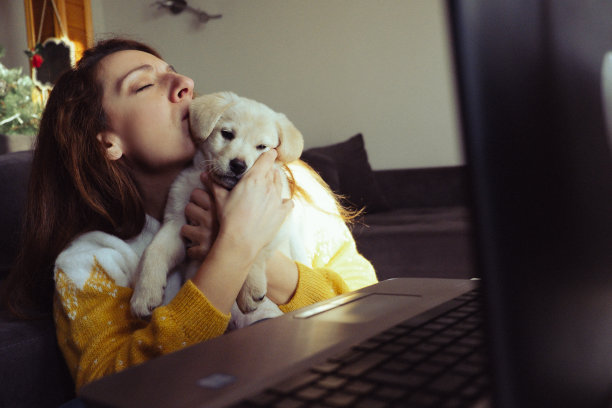 回家工作图片下载