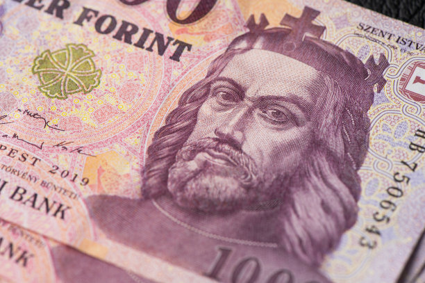 福林，2019年匈牙利新货币图片下载