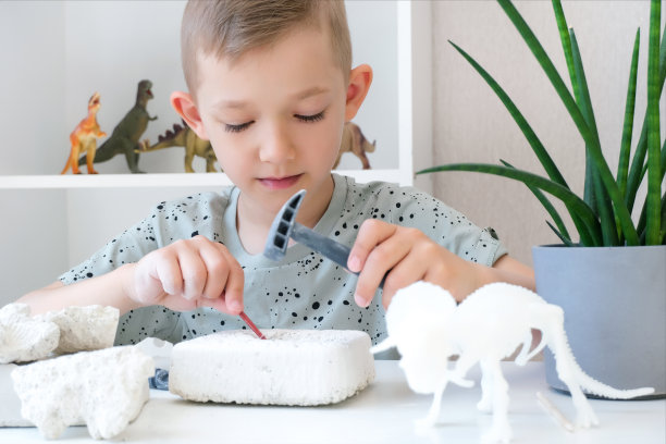 男孩从事于恐龙的挖掘工作。图片下载