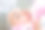美容。可爱的年轻女子闭着眼睛接受面部清洁程序的特写照片图片下载