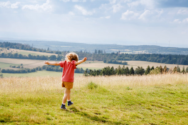 学前班的小女孩在鲜花盛开的草地上奔跑和漫步，眺望着山丘和山脉。快乐的蹒跚学步的孩子有乐趣，户外家庭活动，在夏天徒步旅行。图片下载