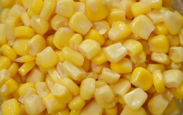 蒸熟的咸水甜玉米种子，质地和底色图片下载