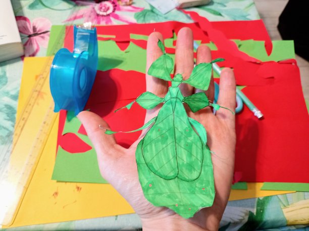 剪纸中的昆虫儿童手工活动在室内拍摄的照片创作剪纸，孩子们在家里或学校用彩色纸制作图片下载