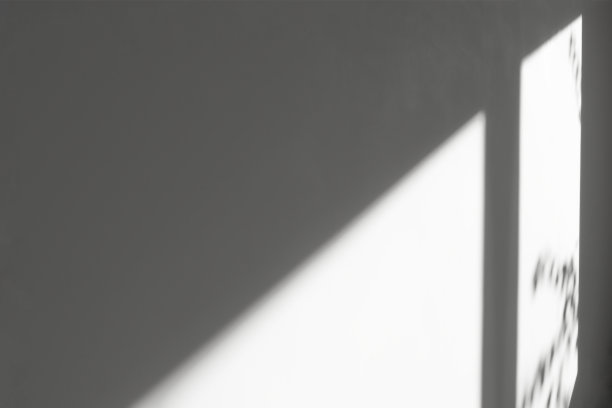 窗外灰色的水泥墙上留下了美丽的影子。模型，模板设计轮廓和阳光，抽象的背景。图片下载