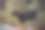 森林里的山羊图片下载