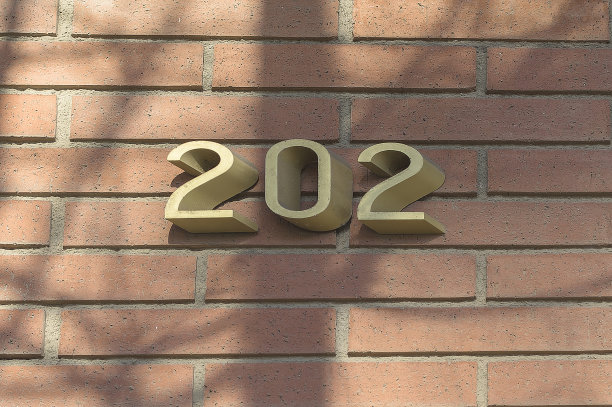 一堵砖墙上的珐琅房子222号。图片下载