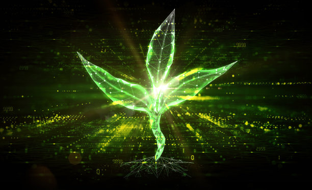 AgTech -农业技术-苗木发芽在抽象技术背景-概念说明图片下载