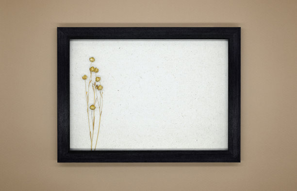 模型，米色背景上的木制框架。框架里面是带着种子豆荚的干亚麻。三维图像的效果。平铺，顶视图，复制空间，生态概念。图片下载