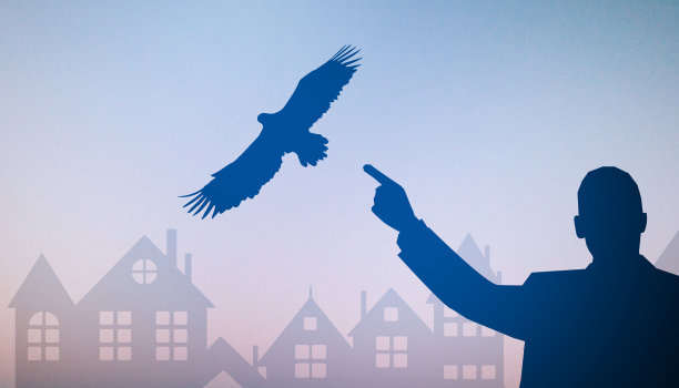 商业领导和领导者的目标谁敢改变自己的工作理念，自由的领导人对建设背景，手，鸟，复制空间，数字，横幅，网站-3d渲染图片下载