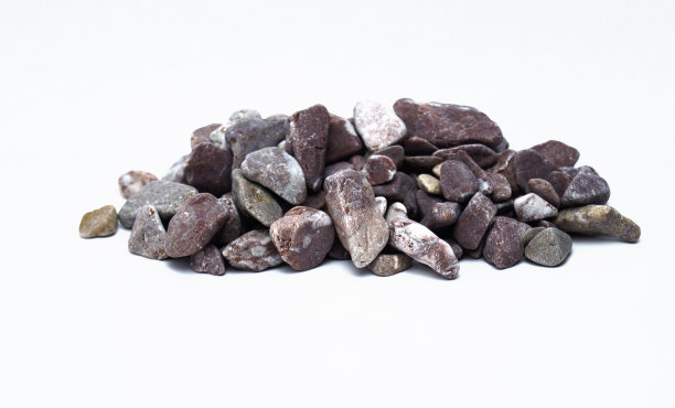 海卵石孤立的白色背景图片下载