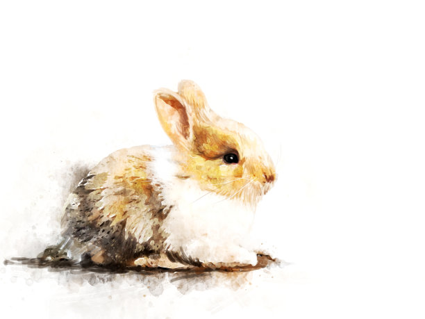 棕色兔子在水彩画风格为复活节内容图片下载