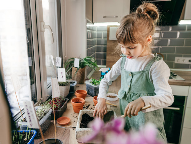 小女孩在花盆里种甜菜图片下载